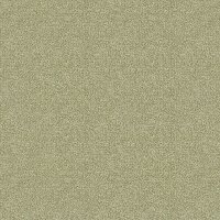 Boucle Fennel  