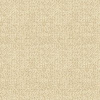 Boucle Oyster  