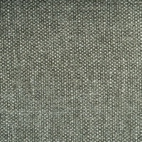 Marni Spruce