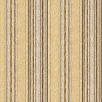 Nouveau Stripe Caramel  