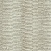 Paris Stripe Oyster  