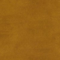 Wren Mustard  