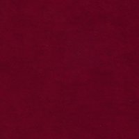 Wren Ruby  