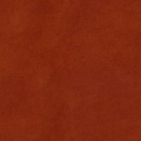 Wren Rust  