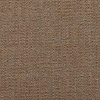 Abelia-Caramel