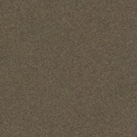 Calido-Warm-Brown