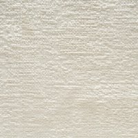 Berber-Oyster