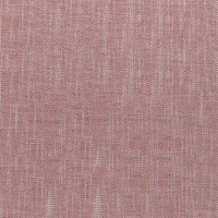 Quince_Coral