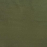 Plush Evergreen