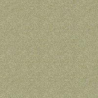 Boucle Fennel