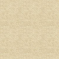 Boucle Oyster