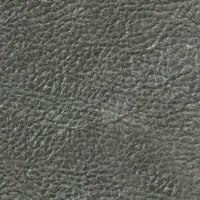 Lazio Grey