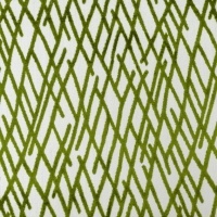 Shanghai-Moss