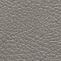 Grey-Plush