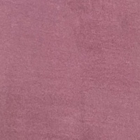 Duke-Lavender-Plain