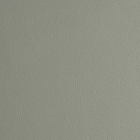 ARIZONA LIGHT GREY